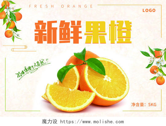 白色简约新鲜橙子包装水果礼品盒包装盒脐橙果橙橙子包装